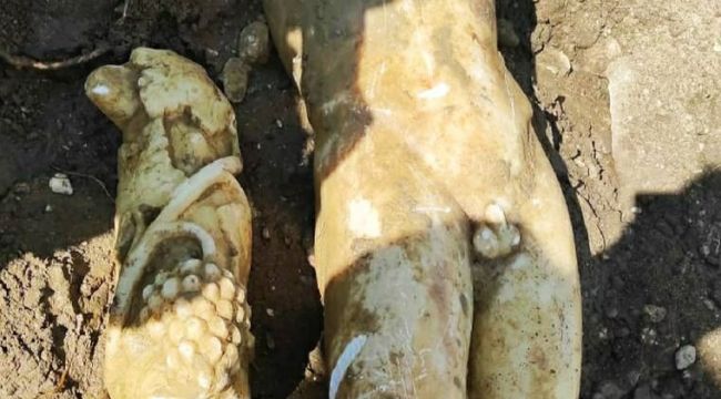 Kanalizasyon işçileri Apollon heykeli buldu