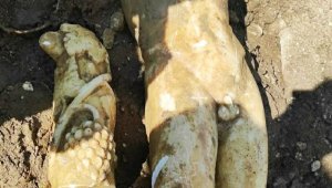 Kanalizasyon işçileri Apollon heykeli buldu