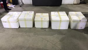 Kargo aracında 40 kilo 304 gram eroin ele geçirildi