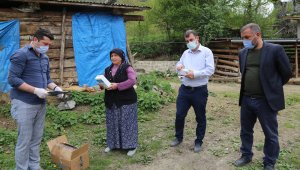 Kene kabusu! Vakalar arttı