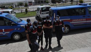 Kiralık otomobille köylerden ne bulduysa çaldı