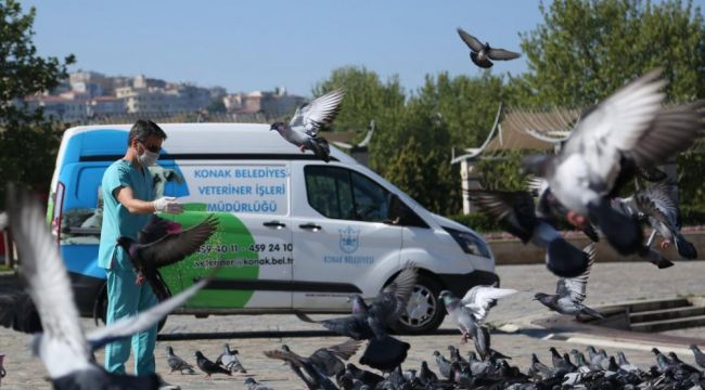 Konak'ta sokak hayvanları aç kalmıyor