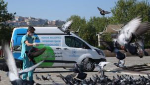 Konak'ta sokak hayvanları aç kalmıyor