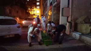 Kötü koku vahşeti ortaya çıkarttı