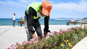 Kuşadası Belediyesi'nden sahil şeridine yaz dokunuşu