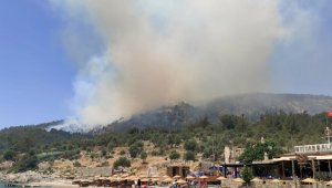 Muğla'daki orman yangını büyüyor!