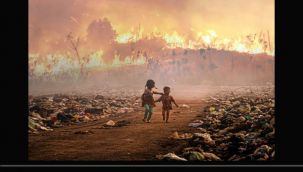 Ödüllük 'çevre' fotoğrafları