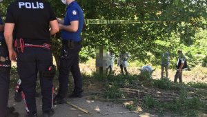 Polis, ağaca asılı halde buldu