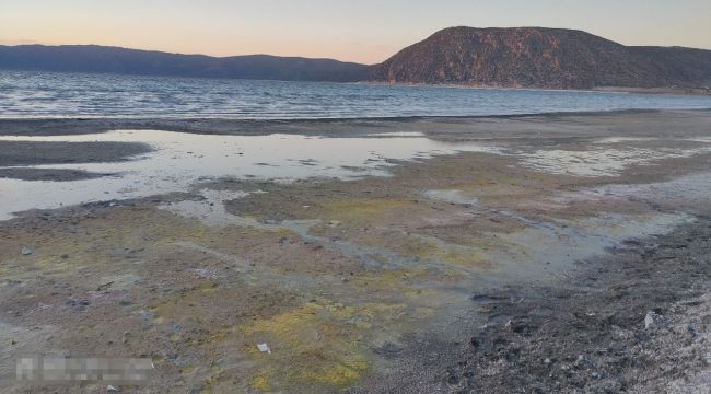 Salda Gölü'ndeki değişimin nedeni mevsimsel polenler