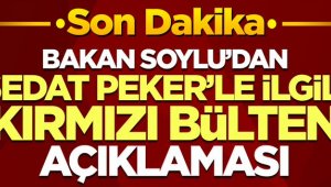 Sedat Peker'le ilgili 'kırmızı bülten' açıklaması