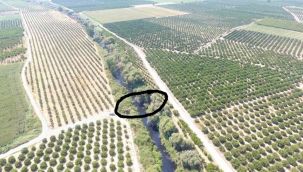 Selçuk Köprüsü ihaleye çıkıyor