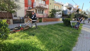 Selçuk'ta yeşil atıklar doğal gübreye dönüşüyor