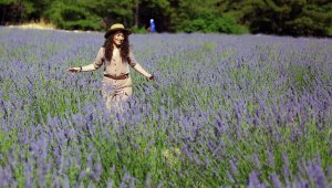 Şifalı bitkiler ekonomiye kazandırılıyor