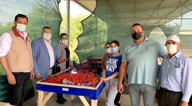 Sındır: Kiraz üreticileri ihracatçının elinde oyuncağa döner