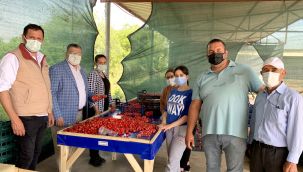 Sındır: Kiraz üreticileri ihracatçının elinde oyuncağa döner