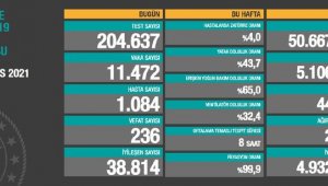 Son 24 saatte koronadan 236 kişi hayatını kaybetti