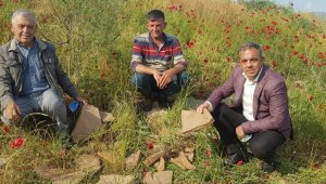 Sular çekilince Roma kalıntıları ortaya çıktı