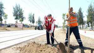Tramvay hattı turunç çiçeği kokacak