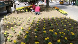 Turgutlu rengarenk bir görünüme kavuşuyor