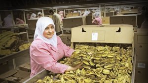 Türk çiftçisi pandemi şartlarını hafifletti