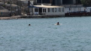 Urla'da tenha yerlerde denizin keyfini yaşadılar