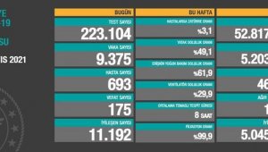 Vaka sayısında yükselme göze carptı