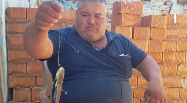 Zehirli trakonya amatör balıkçıyı hastanelik etti