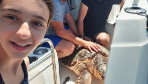 Zeynep'in dikkati, dev deniz canlısını kurtardı