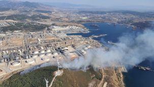 Aliağa'da otluk alanda çıkan yangınlar panik yarattı