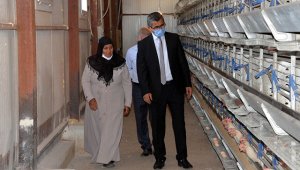 Bakan Pakdemirli, tavukları telef olan kadına "5 bin tavuk teslim edeceğiz"