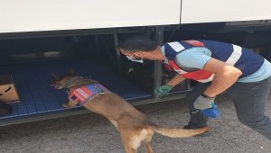 Balıkesir'de polis son bir haftada 81 uyuşturucu şüphelisini yakaladı