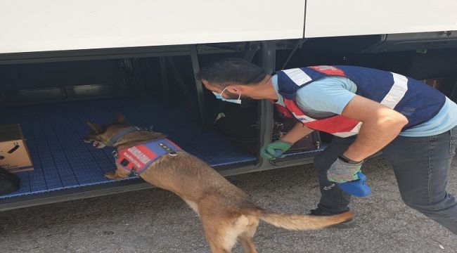 Balıkesir'de polis son bir haftada 81 uyuşturucu şüphelisini yakaladı