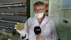 Bu çalışma müsilajı fırsata çevirebilir