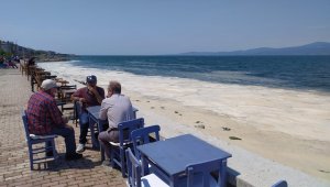 Bursa'da müsilaj manzaralı sahil keyfi