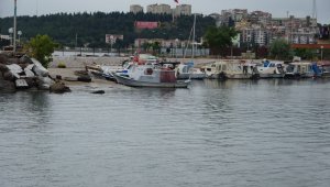 Çanakkale'de 2 gündür etkili olan yağmur, müsilajı kısmen temizledi