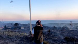 Çeşme Altınkum'da 20 dekar makilik alan yandı