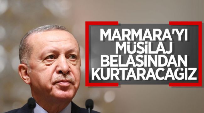 Cumhurbaşkanı Erdoğan: Müsilaj belasından kurtulacağız