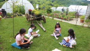 Daha önce hiç böyle bir okul görmediniz