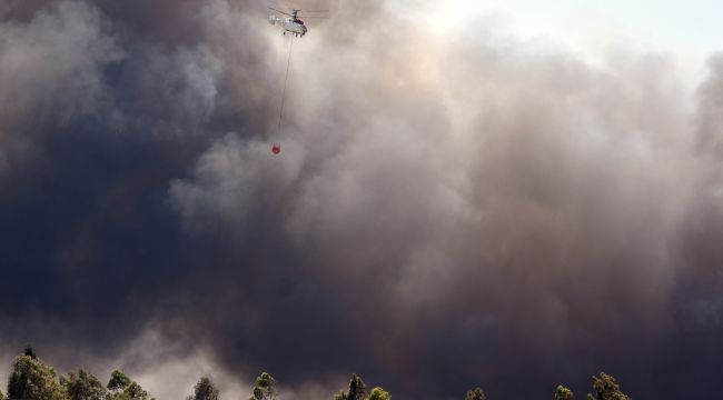 Dalaman'da yangın