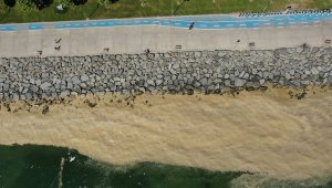 Deniz salyası bu kez Bakırköy kıyılarını sardı