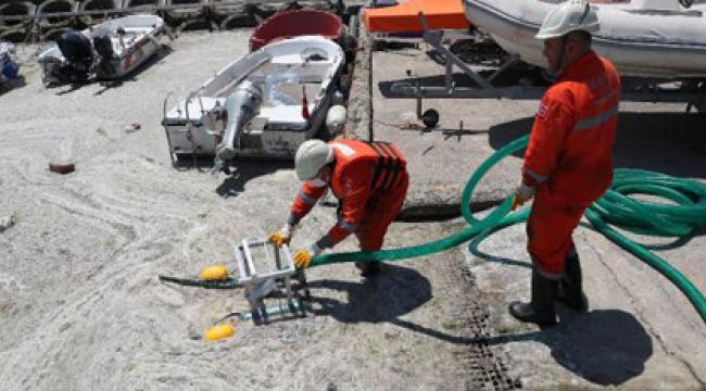 Deniz salyası için Bakanlık adım attı