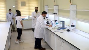 Deniz salyası yaralara merhem olacak