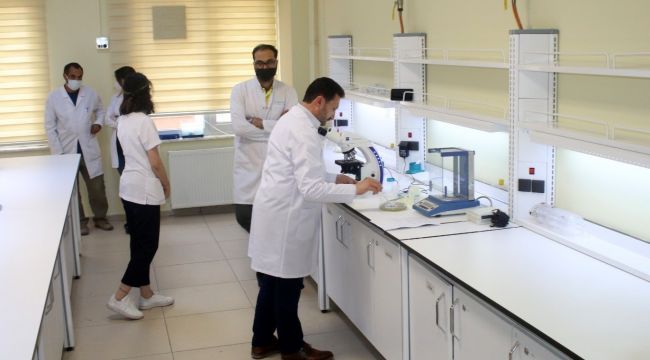 Deniz salyası yaralara merhem olacak