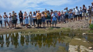 Dikili'de mandıra kirliliği isyanı