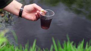 Ergene Nehri can çekişiyor