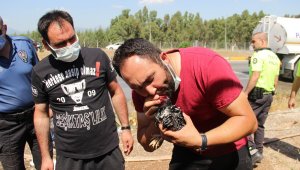 Hayvanlara ilkyardım polis ve vatandaşlardan