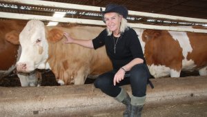 Hosteslikten hayvancılığa