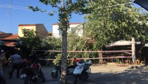 İkiye bölünen ağaç masaların üzerine devrildi