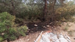 İzmir'de ormanı yakmak isteyen şüpheli, PKK'lı çıktı