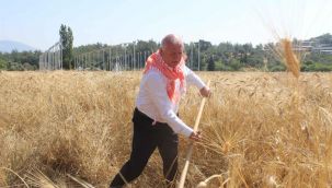 Karakılçık Kemalpaşa'da can buldu